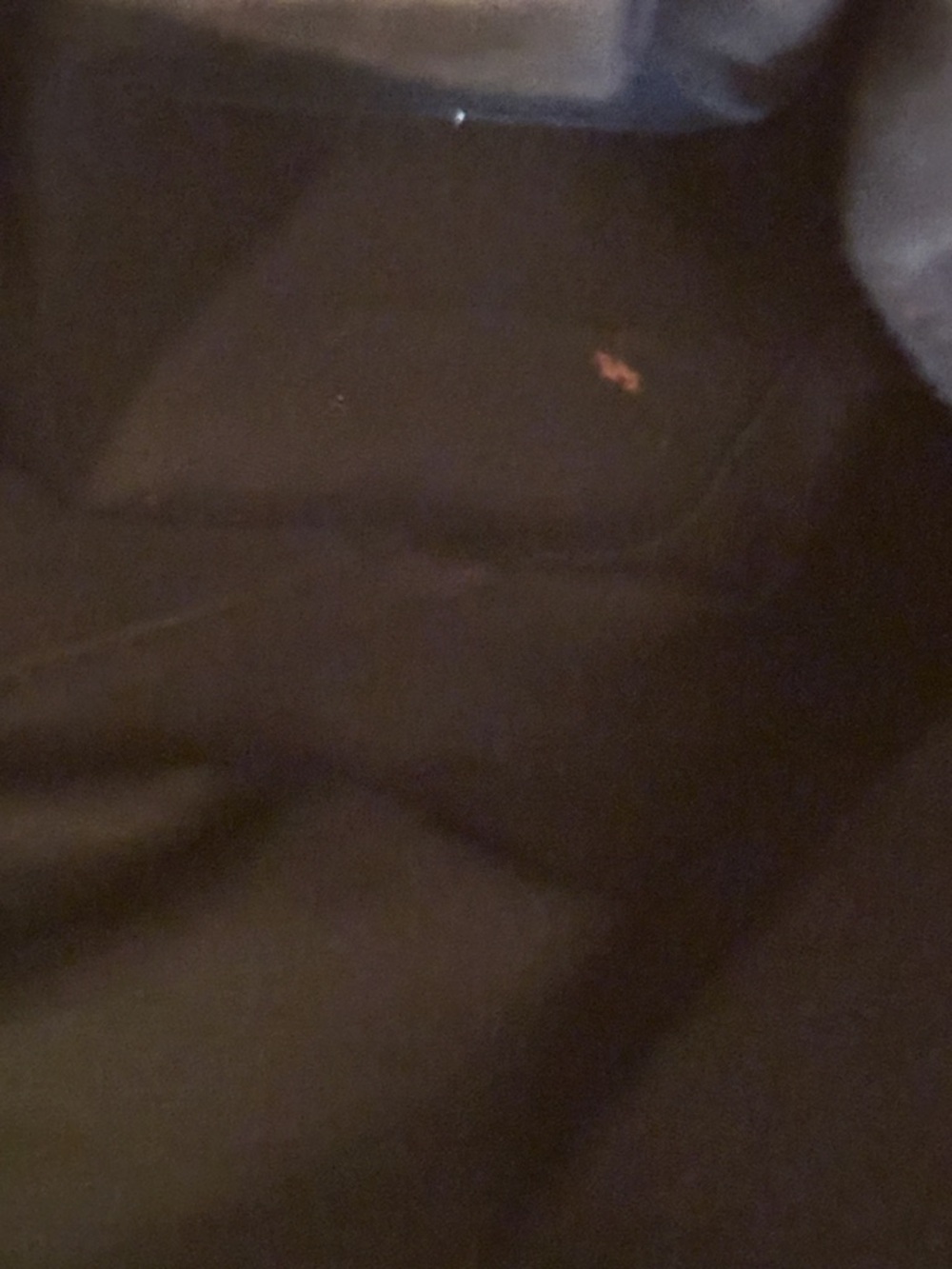 Coach Legacy Rory Satche - Picture 16 of 16